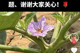 先发制人！杰伦-布朗首节7中6高效砍下12分